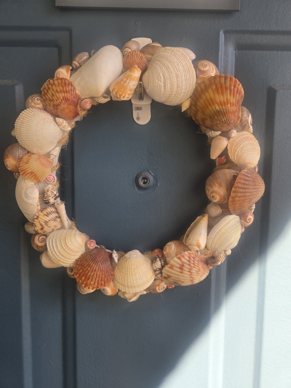 Seashell Holiday Wreath - Natural Orange & Cream